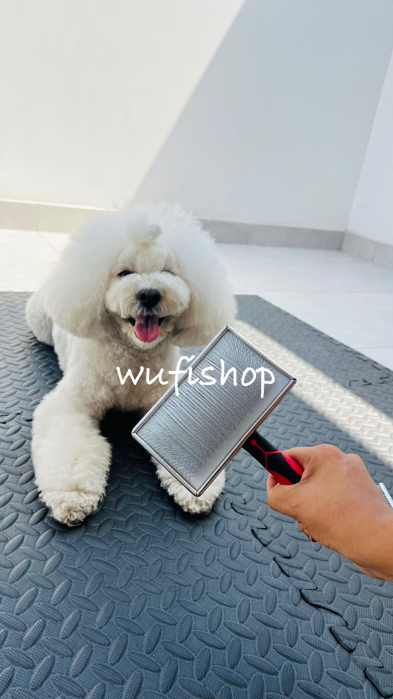 Peine de carda corta y dura