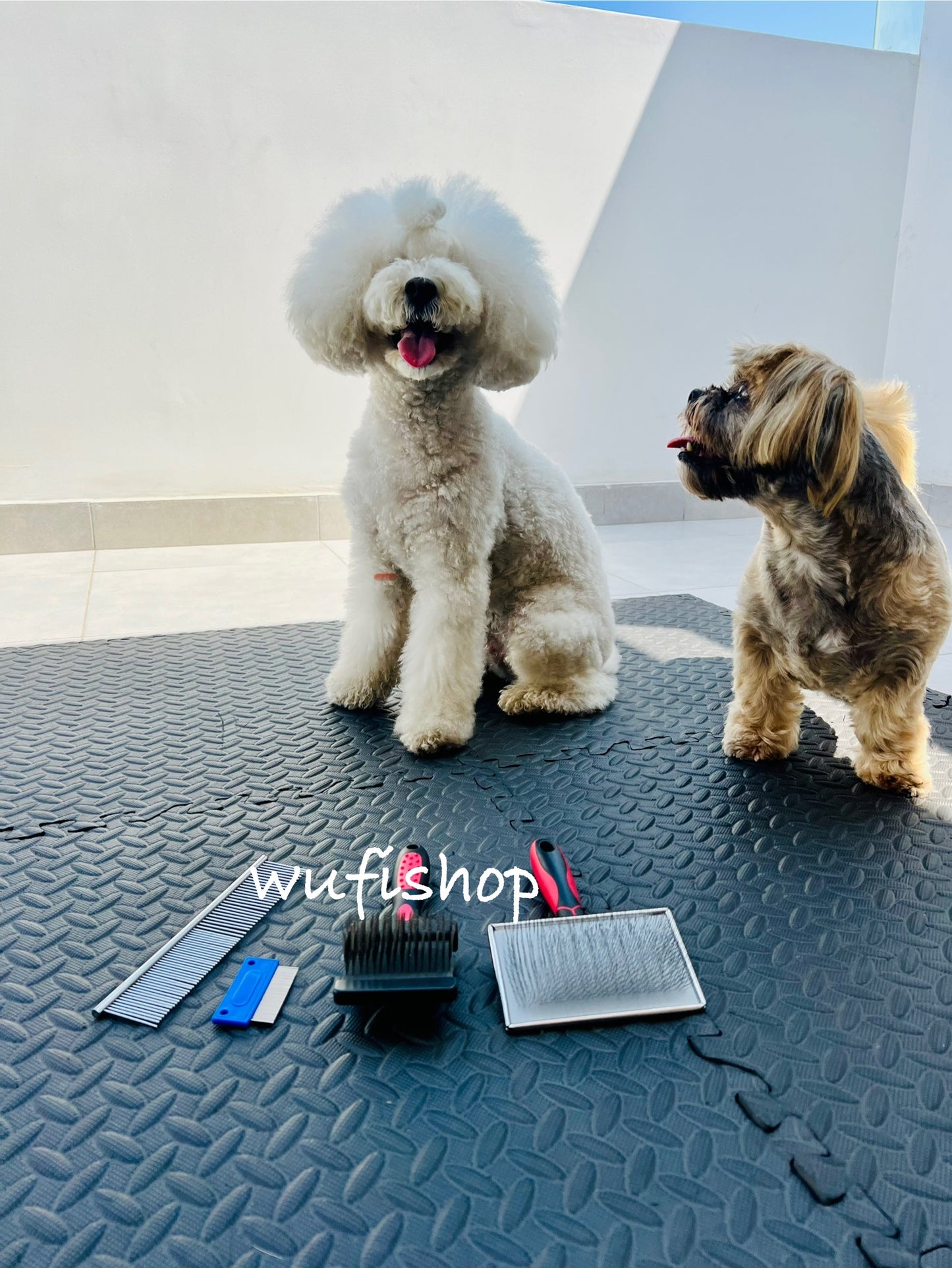 Peine de carda corta y dura