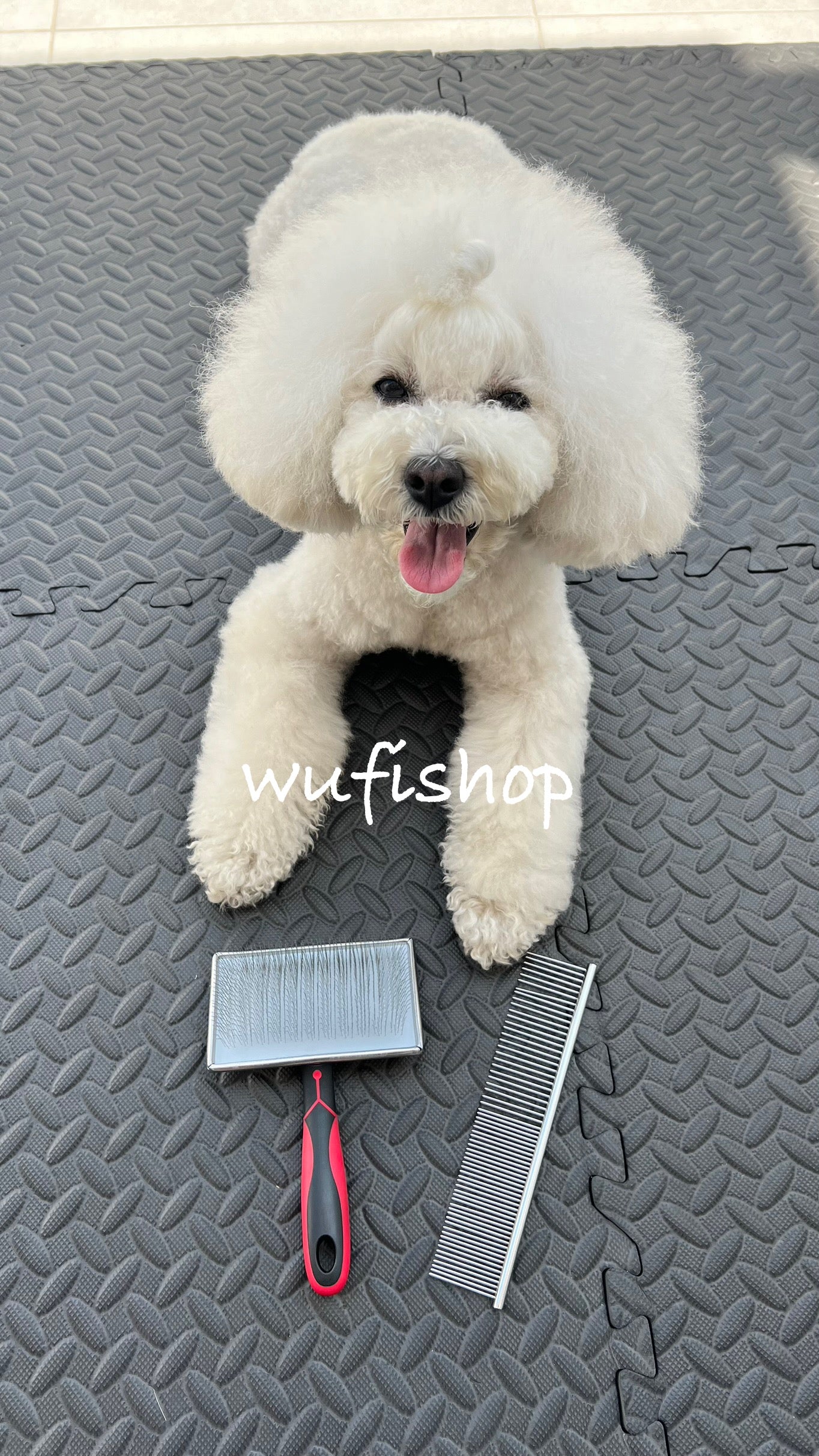 Peine de carda corta y dura