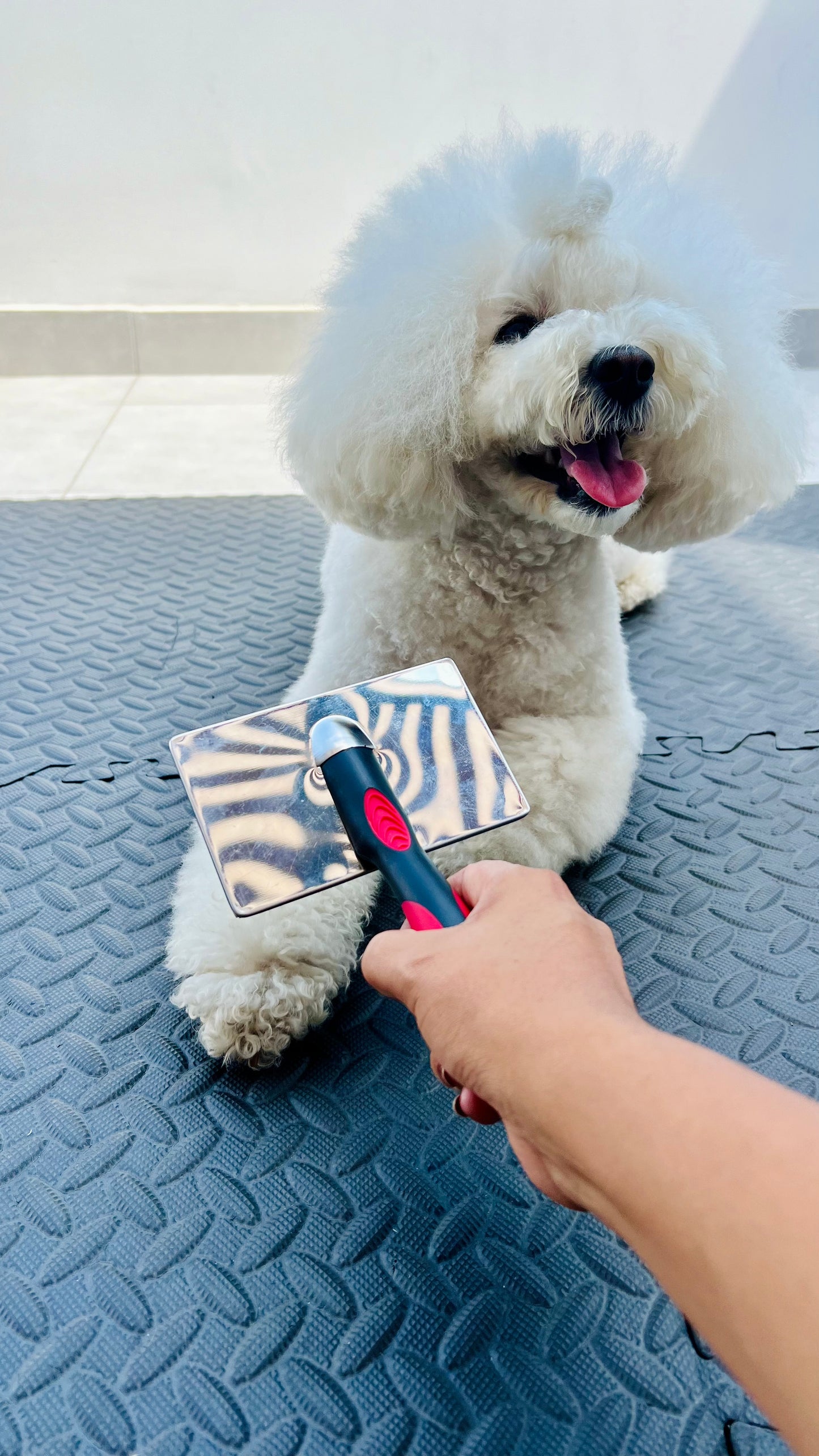 Peine de carda corta y dura