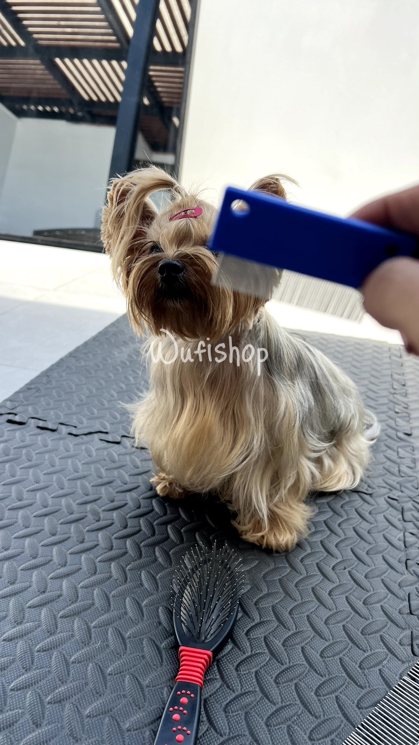 Quita legañas y manchas para perros