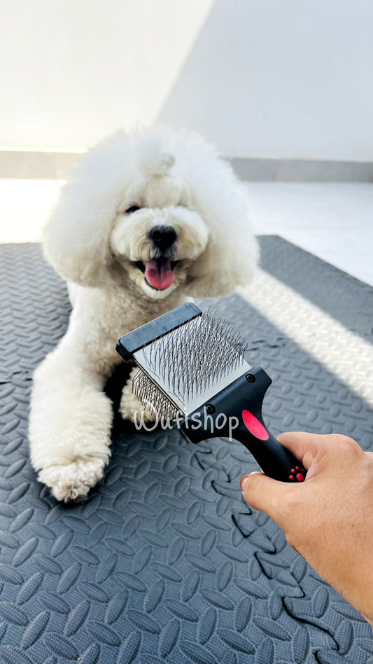 Best: Peine desenredante y quita motas para perros