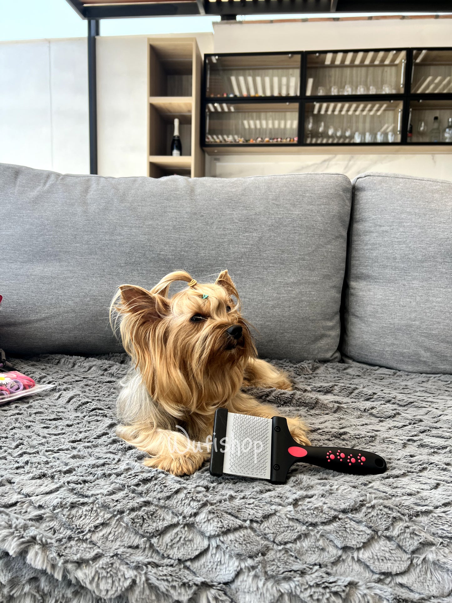 Best: Peine desenredante y quita motas para perros