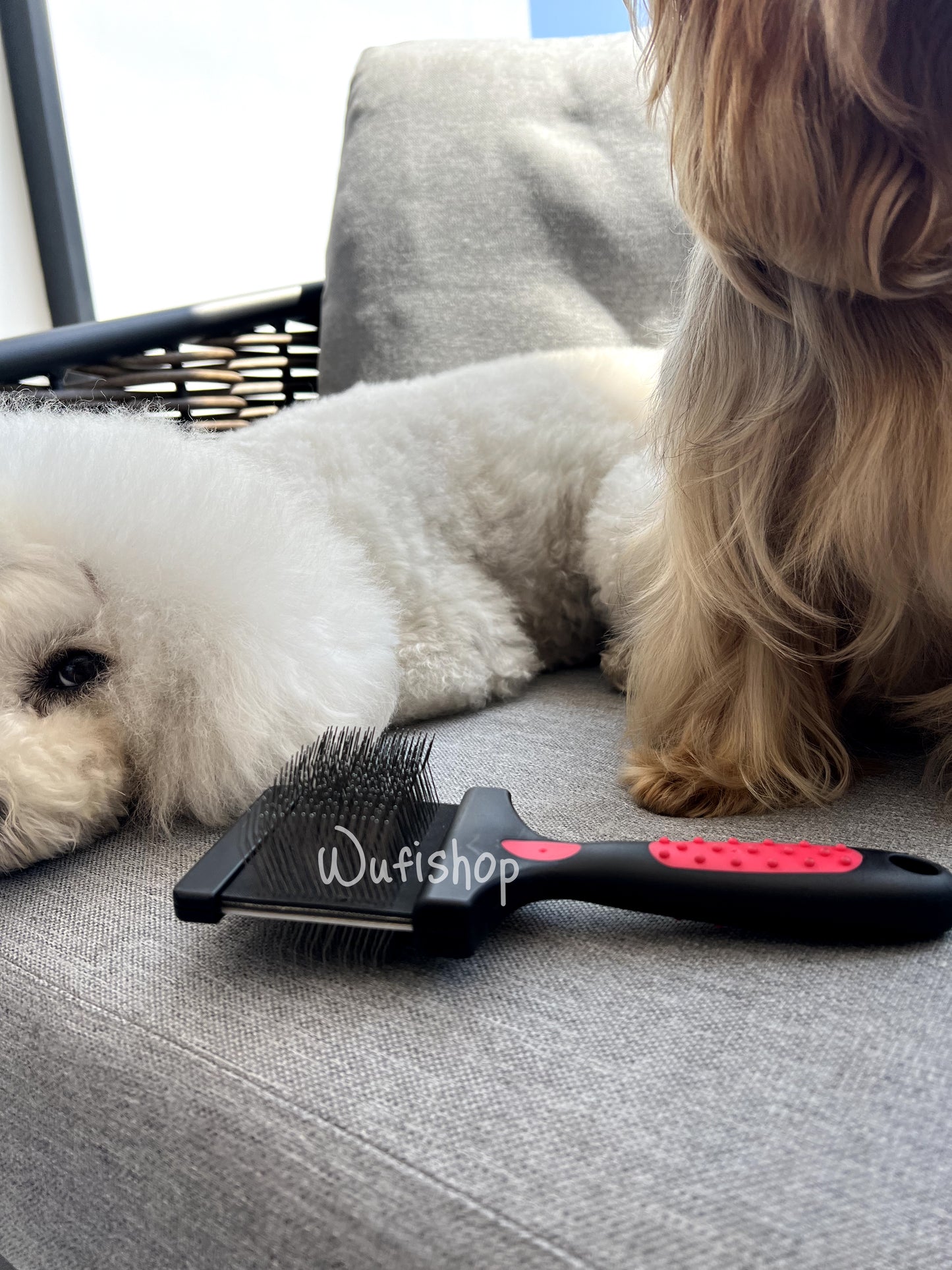 Best: Peine desenredante y quita motas para perros