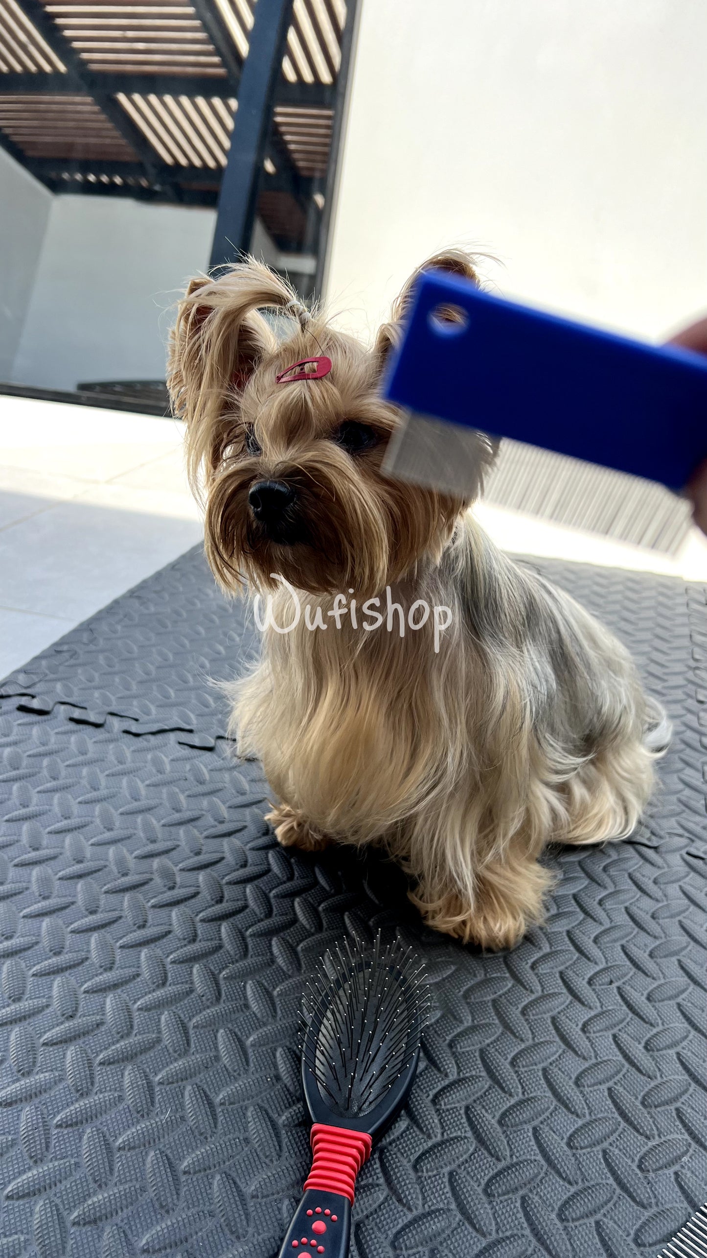 Quita legañas y manchas para perros