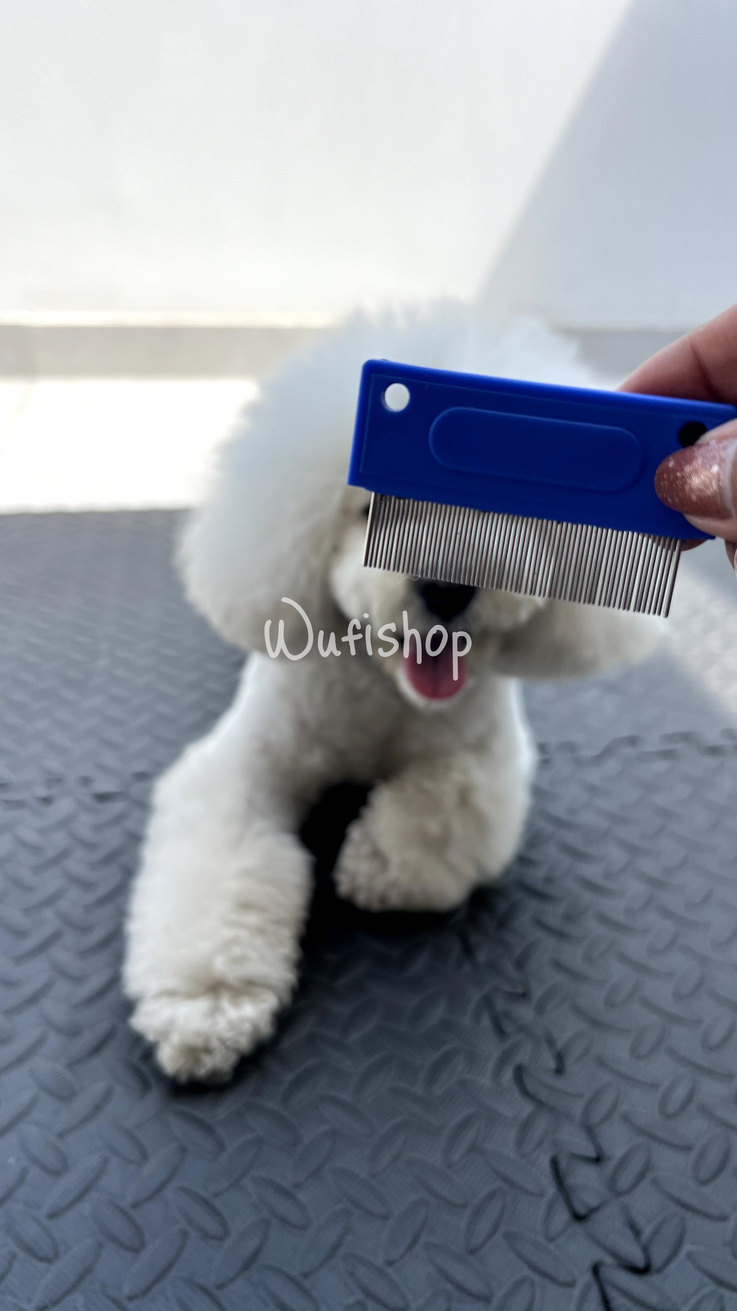 Quita legañas y manchas para perros